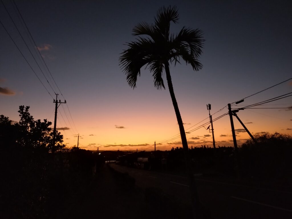 ヤシの木の向こうに広がる島の夕焼け