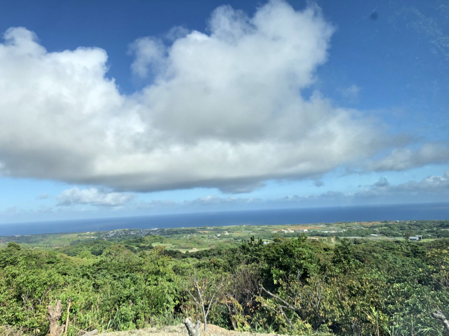 緑と農地が広がる沖永良部島の風景